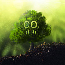CO2-Emissionen einsparen